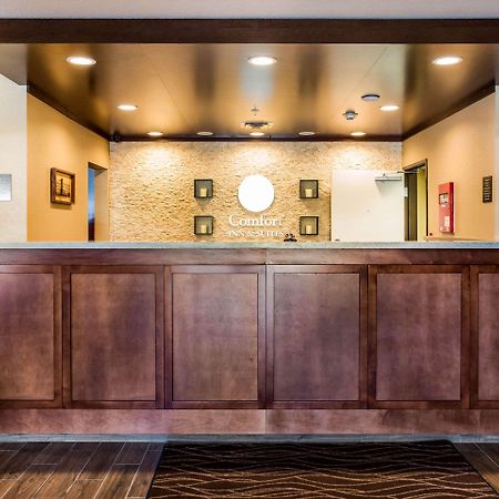 Comfort Inn & Suites Niagara Falls Blvd Usa Εξωτερικό φωτογραφία
